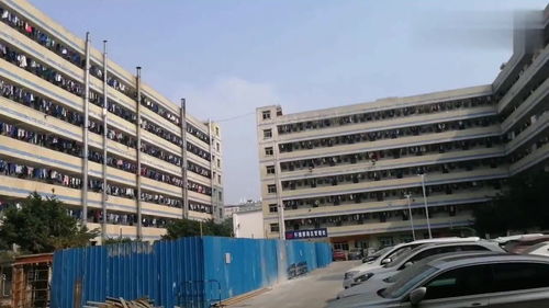 广东深圳女儿国大厂,宿舍女工们密密麻麻都住满了 这个厂太好了
