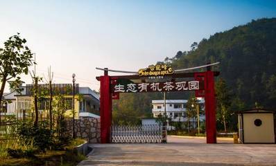 风采华安丨金砖厦门会晤选用产品之福建哈龙峰茶业