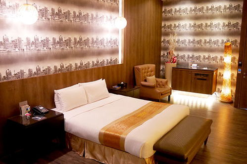 台中沐夏时尚精品旅馆与厦门特色住宿 探索两岸城市旅宿的时尚与风情