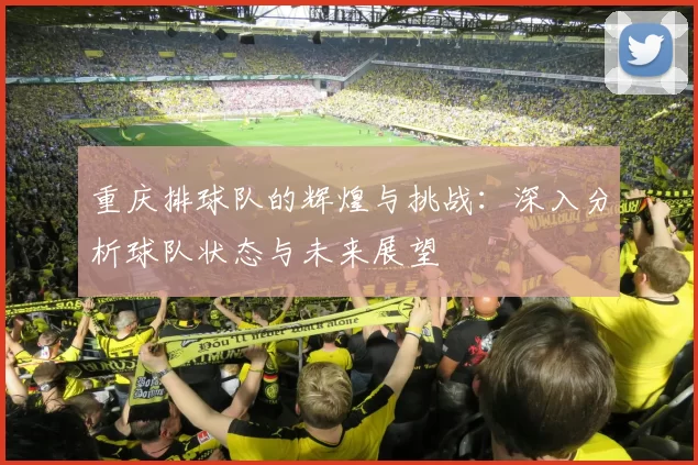 重庆排球队的辉煌与挑战：深入分析球队状态与未来展望