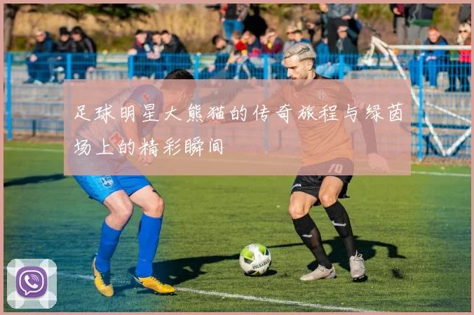 足球明星大熊猫的传奇旅程与绿茵场上的精彩瞬间